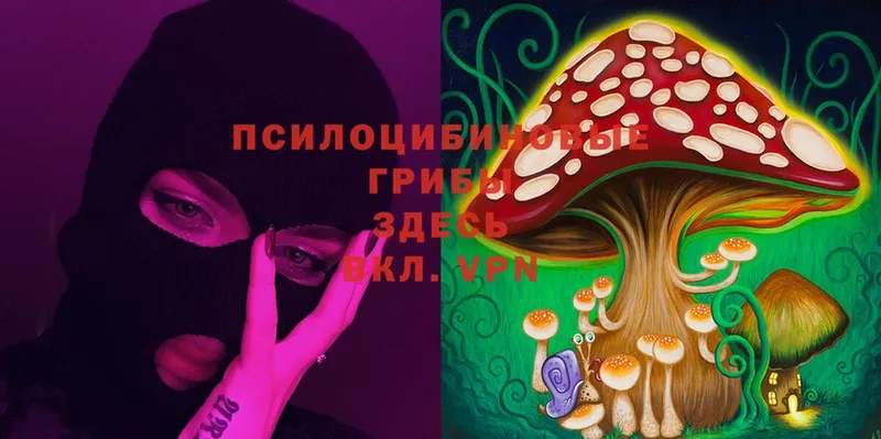 omg зеркало  сайты даркнета состав  Галлюциногенные грибы MAGIC MUSHROOMS  Сургут 